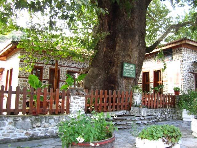 Комплекс Стария Чинар Melnik (Blagoevgrad) Buitenkant foto