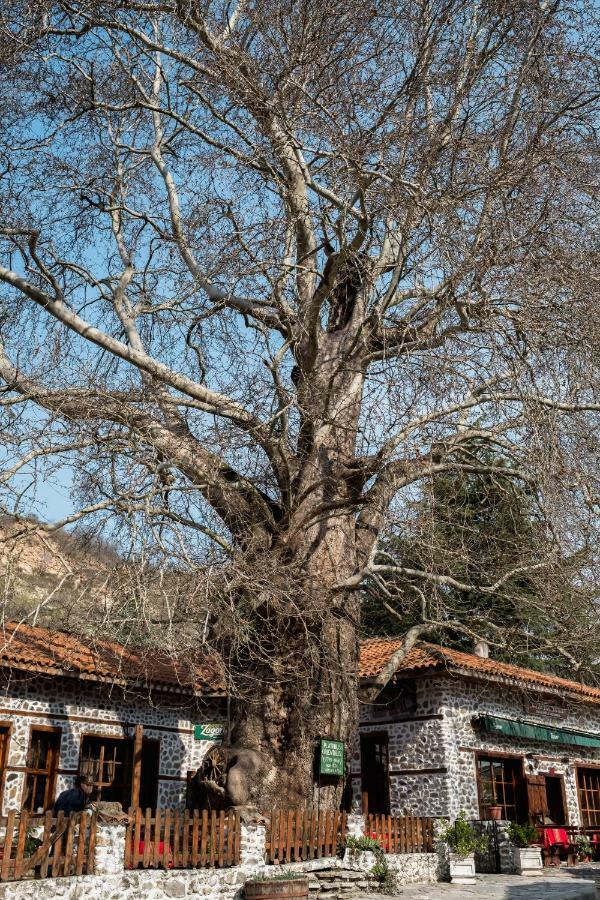 Комплекс Стария Чинар Melnik (Blagoevgrad) Buitenkant foto
