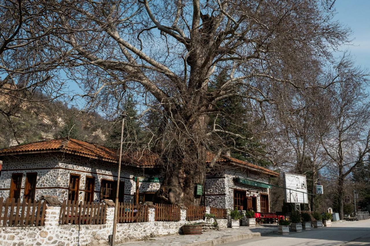 Комплекс Стария Чинар Melnik (Blagoevgrad) Buitenkant foto